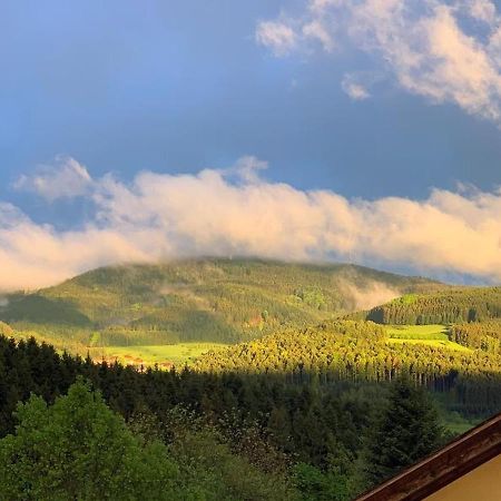 Black Forest Appartement - Brandenkopfblick Zell am Harmersbach Buitenkant foto
