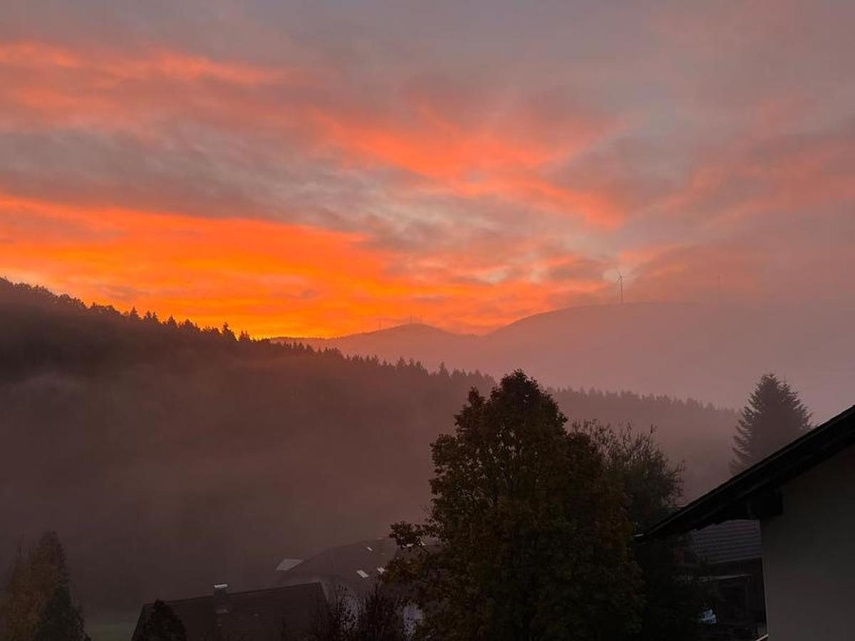 Black Forest Appartement - Brandenkopfblick Zell am Harmersbach Buitenkant foto