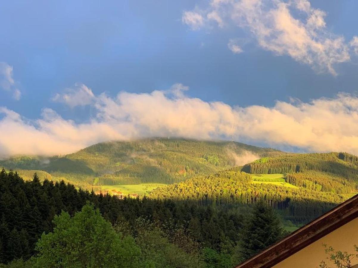 Black Forest Appartement - Brandenkopfblick Zell am Harmersbach Buitenkant foto